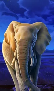 African Elephant